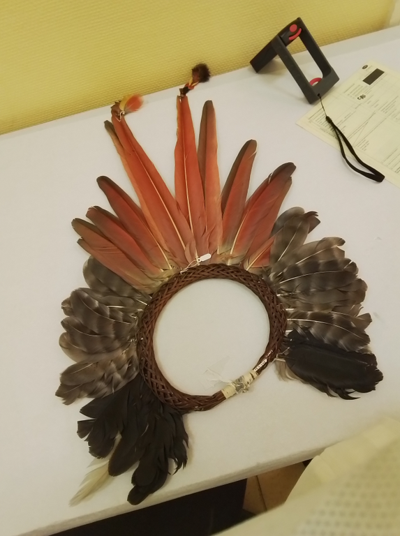 Foto Museu do Índio (3).png