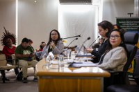 Aldeando o Estado: em seminário, Funai apresenta panorama de ações realizadas e desafios para os próximos anos