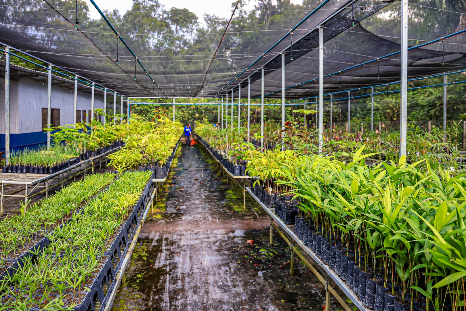 25.11.2024 - Visita na Terra Indígena Waimiri Atroari - Foto Lohana Chaves (10).JPG
