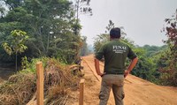 Após retirada de invasores, Terra Indígena Apyterewa registra desmatamento zero