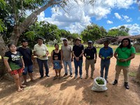 Café Paiter-Suruí: produção indígena com apoio da Funai traz benefícios sociais, ambientais e econômicos