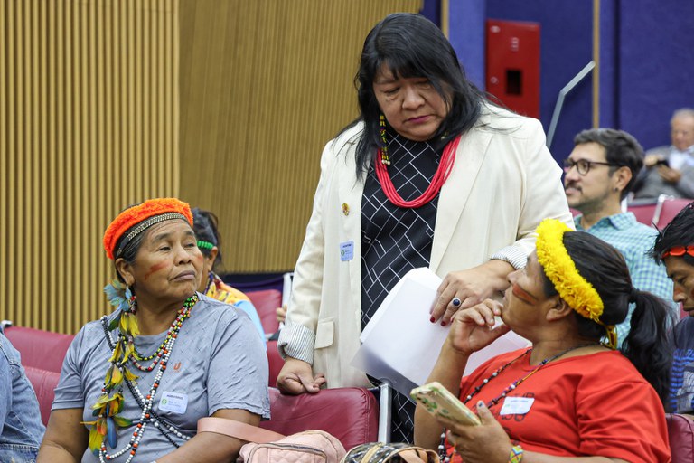 25.07.24 - Anistia Coletiva ao povo Guarani Kaiowá, da Terra Indígena Sucuriy - MS - Foto Lohana Chaves (14).JPG