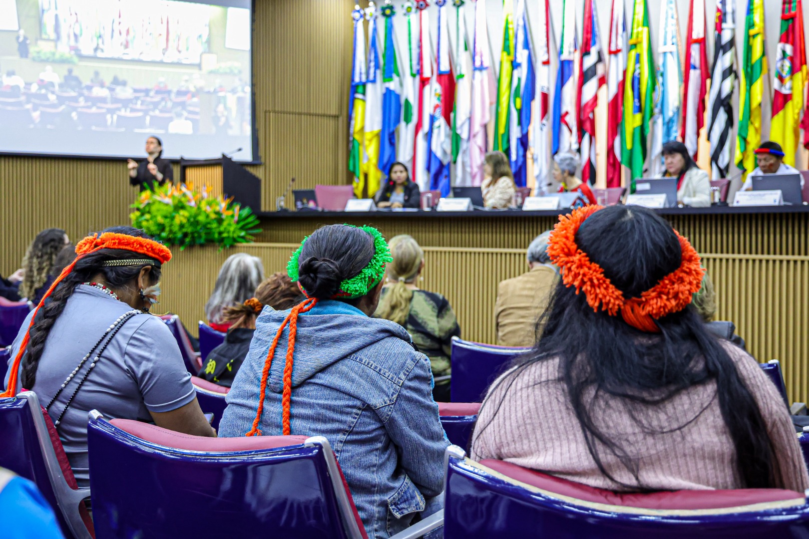 25.07.24 - Anistia Coletiva ao povo Guarani Kaiowá, da Terra Indígena Sucuriy - MS - Foto Lohana Chaves (2).JPG