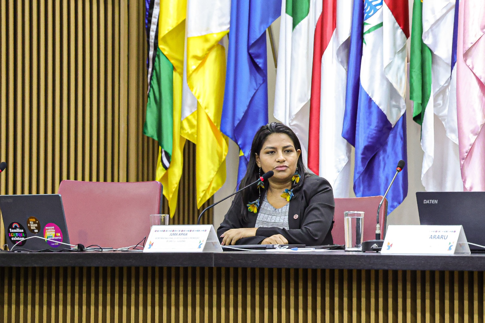 25.07.24 - Anistia Coletiva ao povo Guarani Kaiowá, da Terra Indígena Sucuriy - MS - Foto Lohana Chaves (3).JPG
