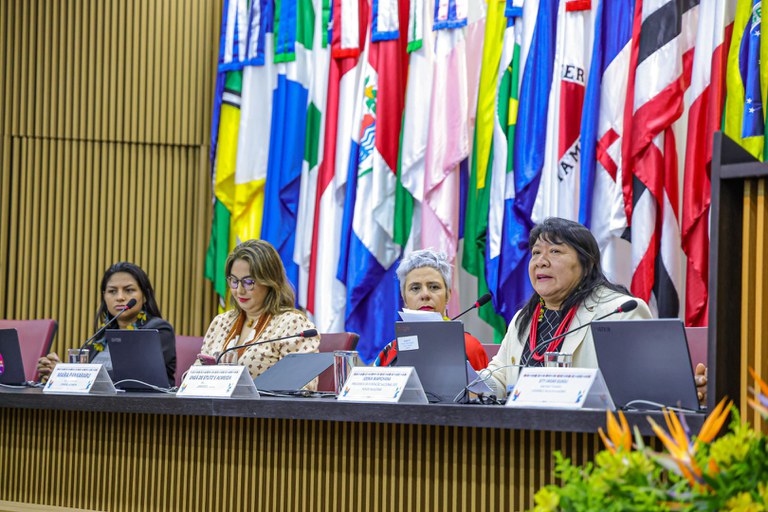25.07.24 - Anistia Coletiva ao povo Guarani Kaiowá, da Terra Indígena Sucuriy - MS - Foto Lohana Chaves (7).JPG