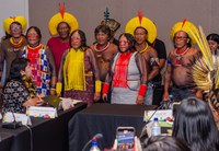 Demarcação: Funai tem 149 estudos de identificação e delimitação em andamento