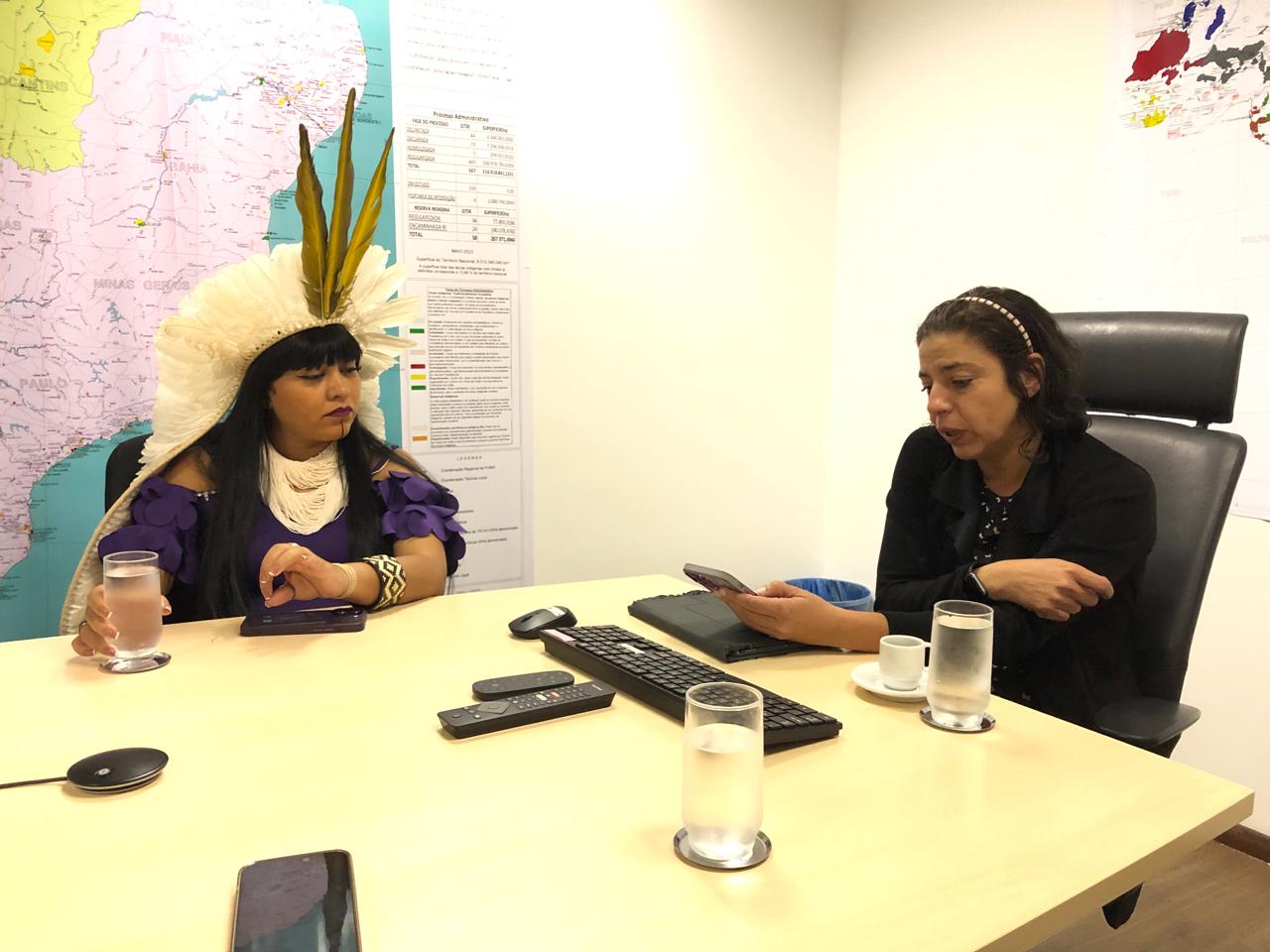 Reunião DPT com a deputada Célia Xakriabá (1).jpeg
