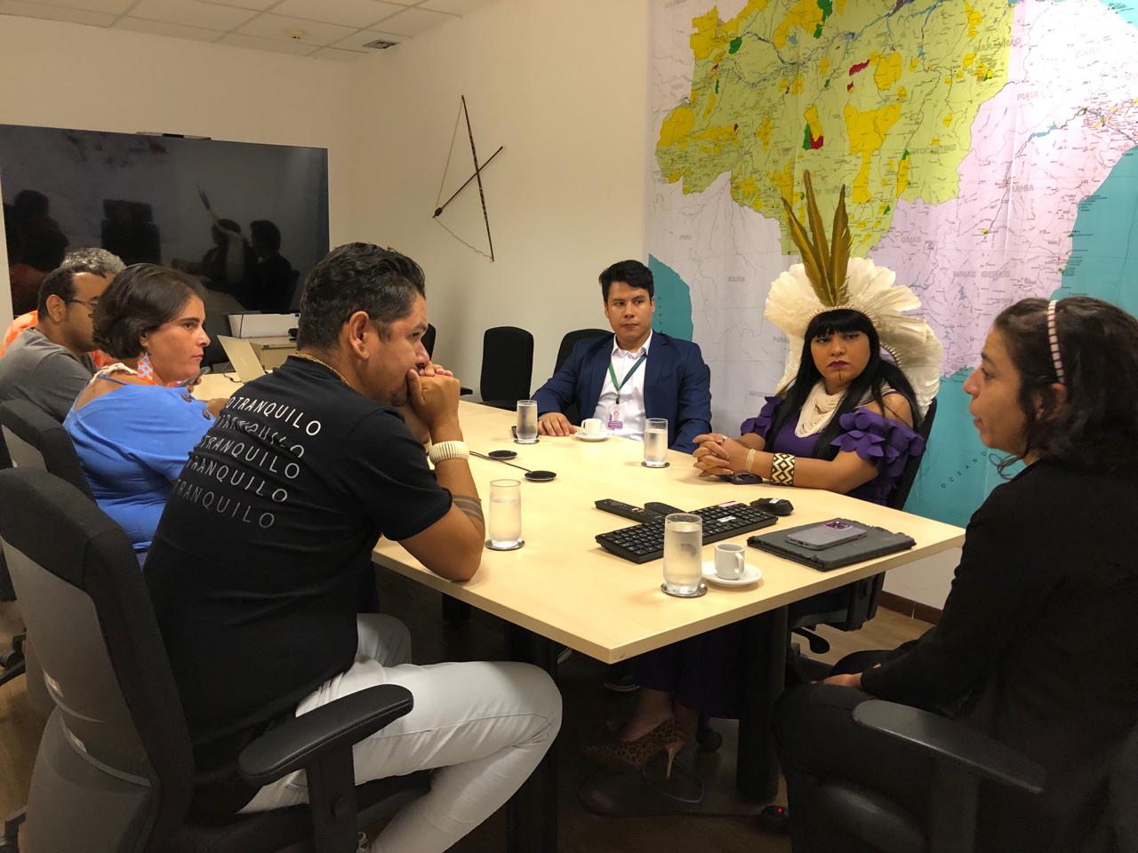 Reunião DPT com a deputada Célia Xakriabá (2).jpeg