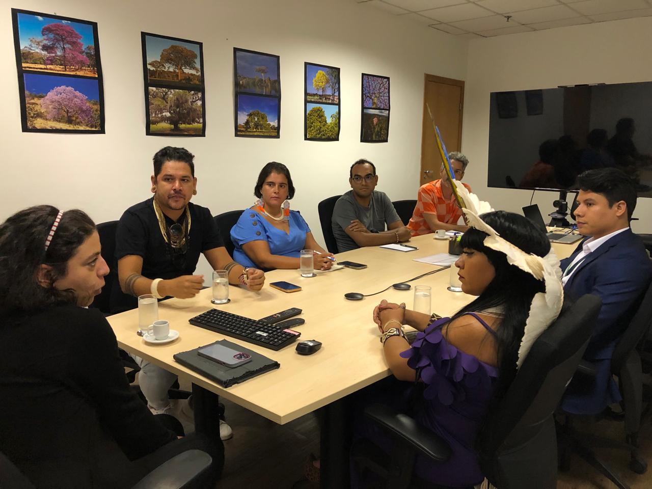 Reunião DPT com a deputada Célia Xakriabá (3).jpeg