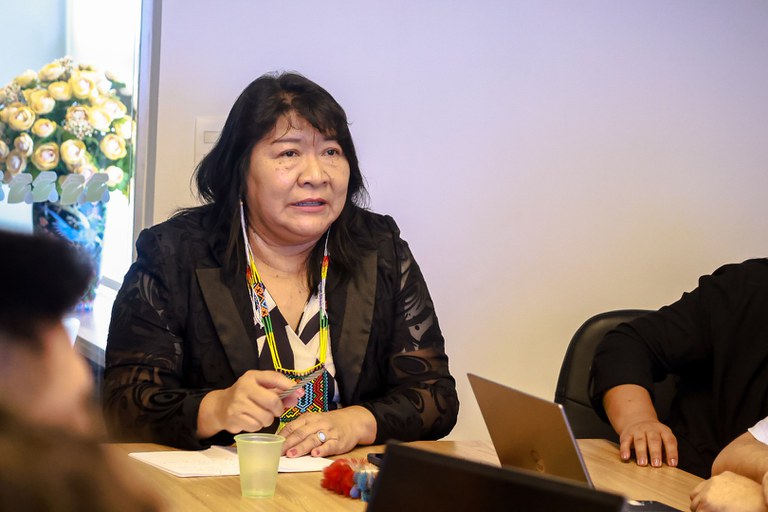 Reunião Comitê Regional  (2).JPG