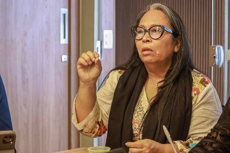 Reunião Comitê Regional  (3).JPG