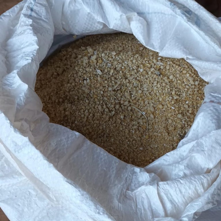 0 - Ação levantamento roças 02.jpeg