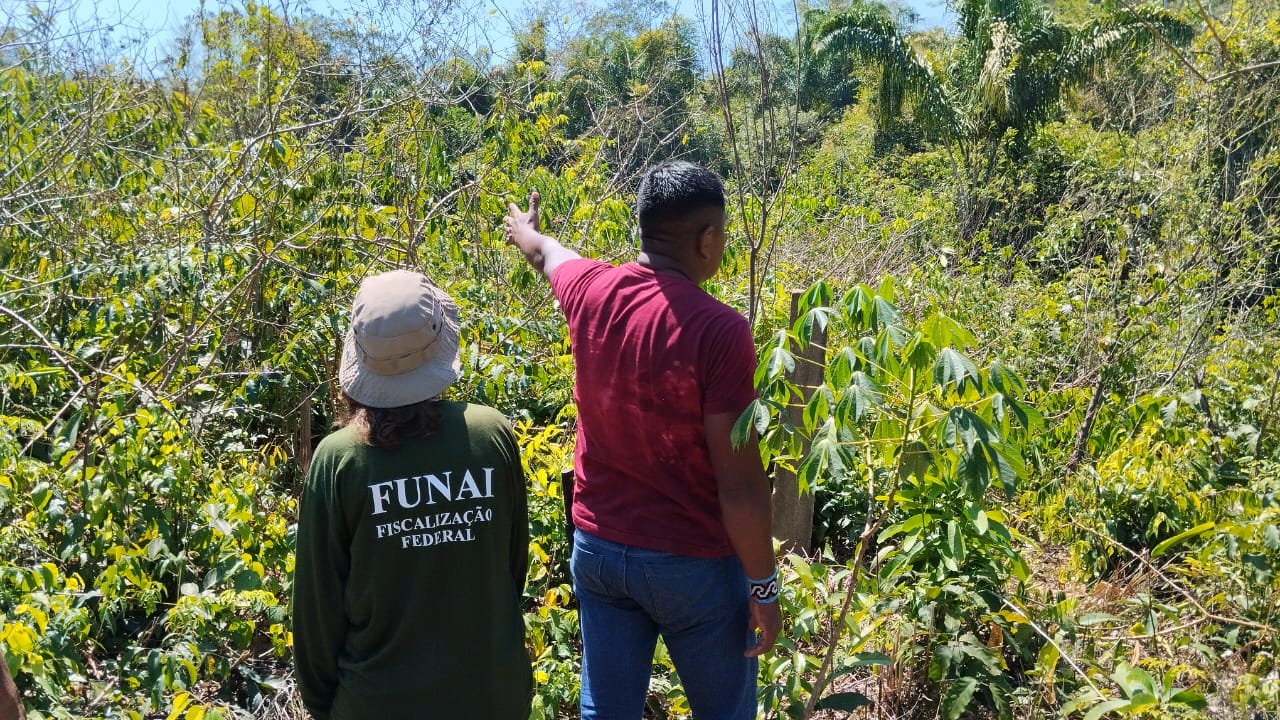 0 - Ação levantamento roças 06.jpeg