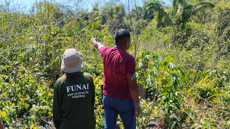0 - Ação levantamento roças 06.jpeg