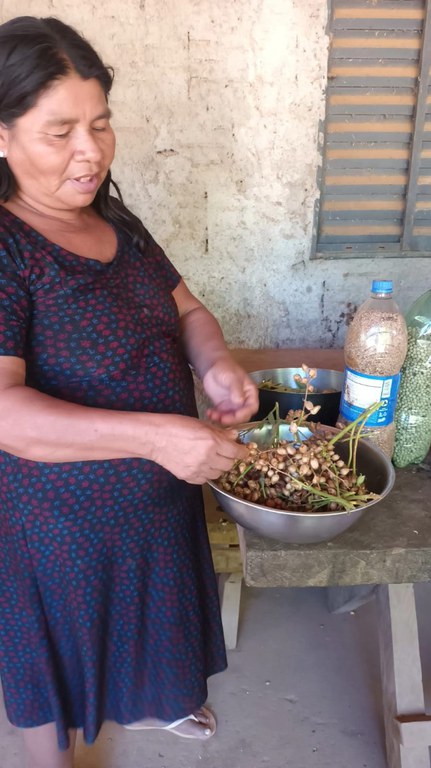 0 - Ação levantamento roças 13.jpeg