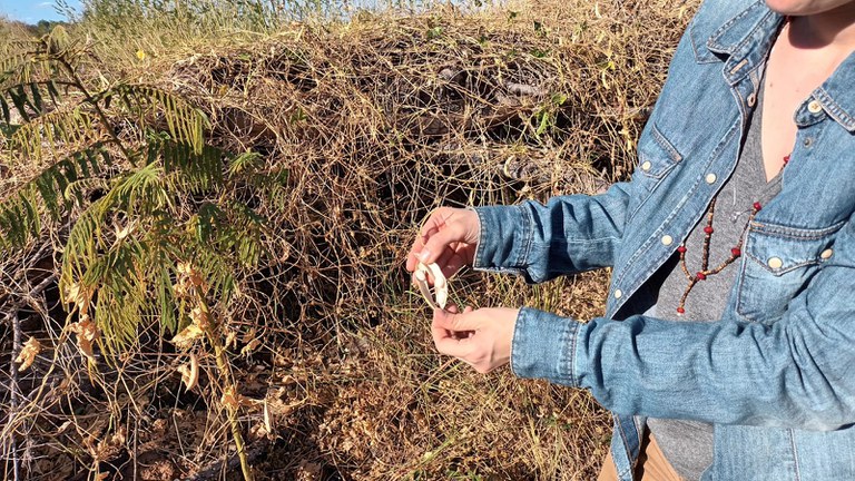 0 - Ação levantamento roças 15.jpeg