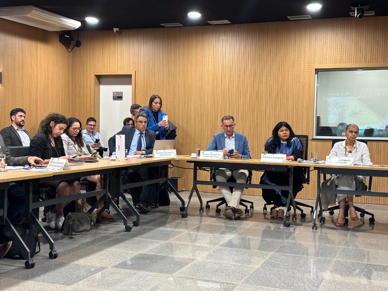 Reunião no Ibama (1).jpg