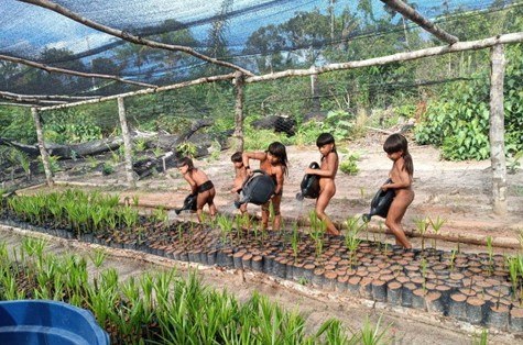 Projeto de restauração ambiental na Terra Indígena Enawene Nawe_6.jpeg