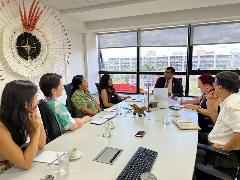 Reunião Sesai (9).jpg