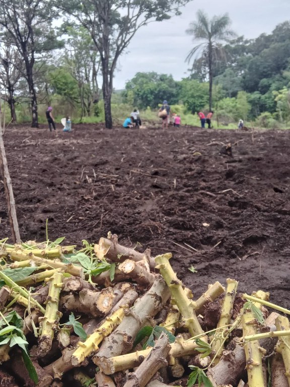 WhatsApp Image 2024-12-20 at 11.01.53 (1).jpeg