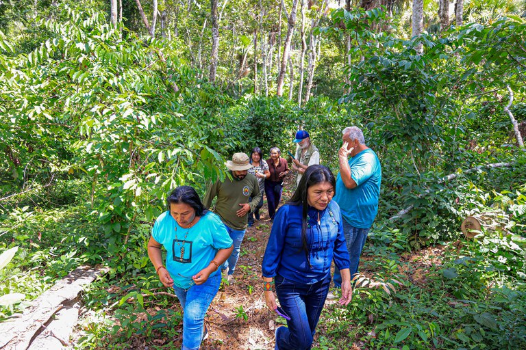 23.11.2024 - Entrega de fornos para a torrefação de café no 8º Festejo do Café na Terra Indígena Mangueira (23).JPG