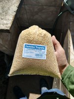 Funai entrega materiais para ampliar casa de farinha das mulheres Tapuia, em Goiás