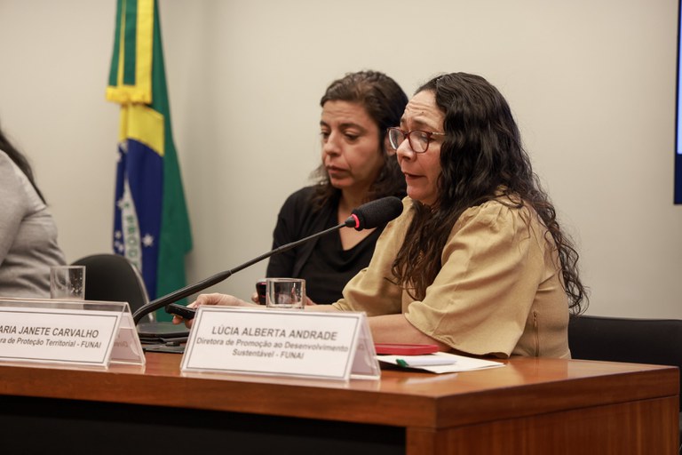 18.06.24 - Audiência na Câmara dos Deputados sobre situação dos Yanomami - Foto Lohana Chaves  (11).JPG