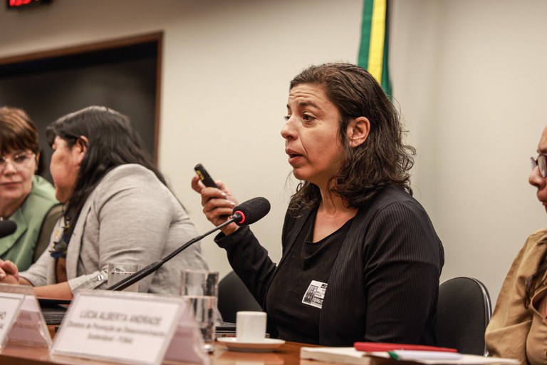18.06.24 - Audiência na Câmara dos Deputados sobre situação dos Yanomami - Foto Lohana Chaves  (12).JPG