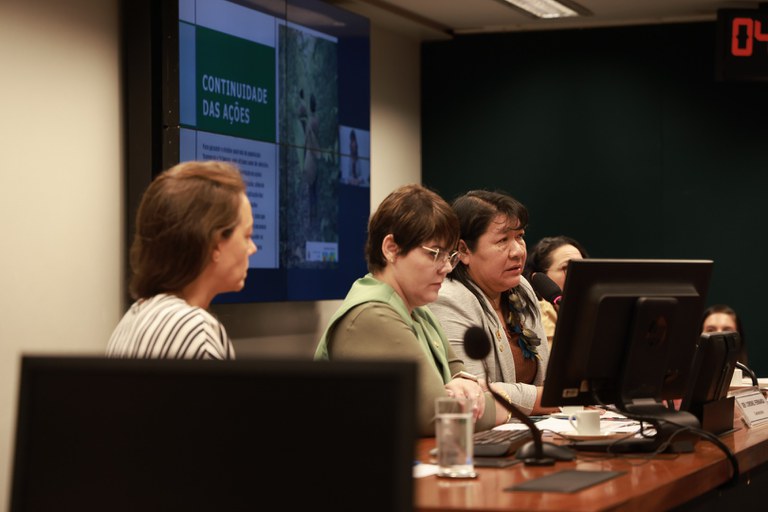 18.06.24 - Audiência na Câmara dos Deputados sobre situação dos Yanomami - Foto Lohana Chaves  (6).JPG