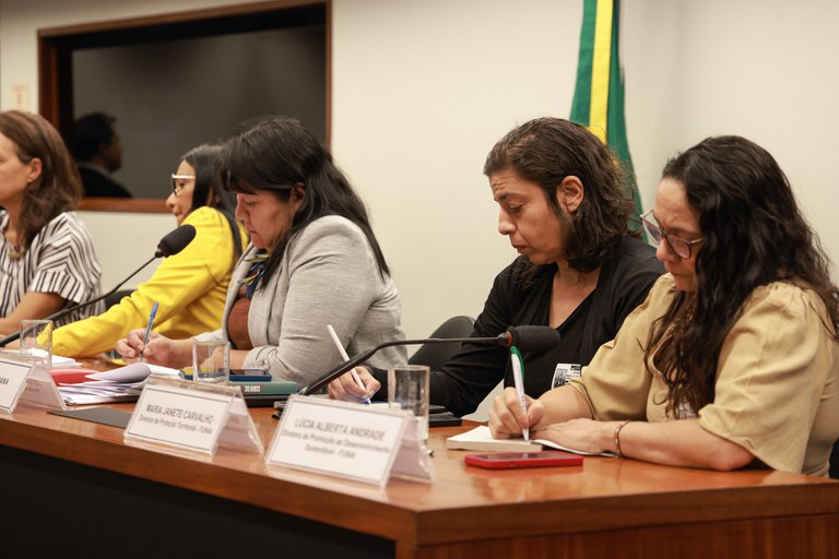 18.06.24 - Audiência na Câmara dos Deputados sobre situação dos Yanomami - Foto Lohana Chaves  (7).JPG