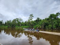 Funai garante suporte logístico para monitoramento ambiental na TI Yanomami