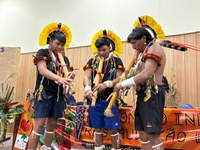 Funai inclui povos indígenas na pauta de restauração ecológica para a conservação de ecossistemas