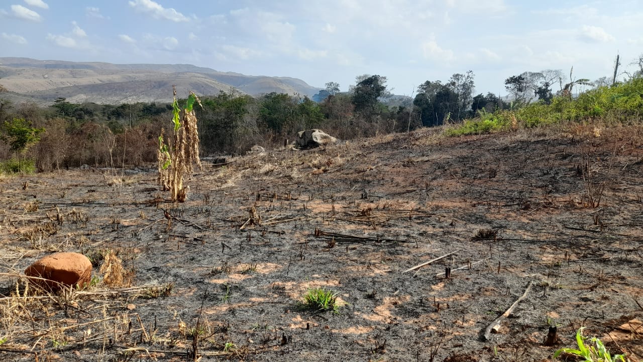 0 - Fotos de Queimadas em Roraima (1).jpeg