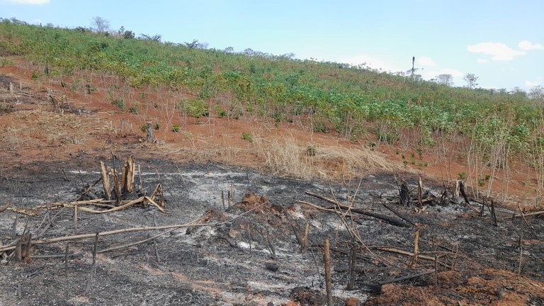 1 - Fotos de Queimadas em Roraima (2).jpeg