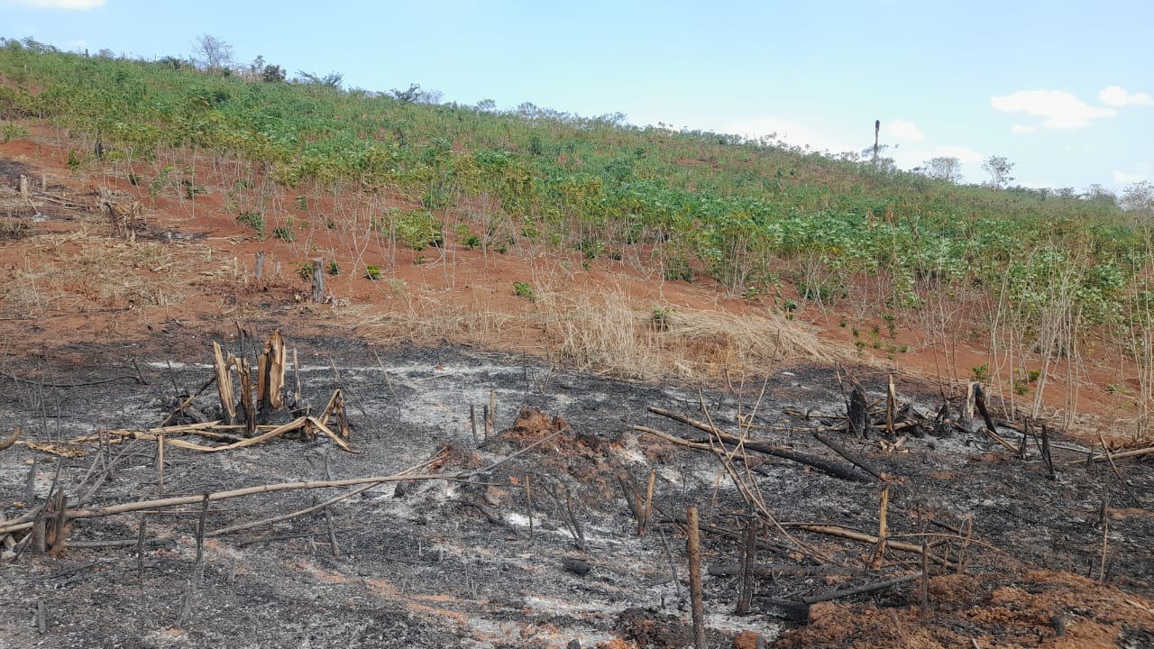 1 - Fotos de Queimadas em Roraima (2).jpeg