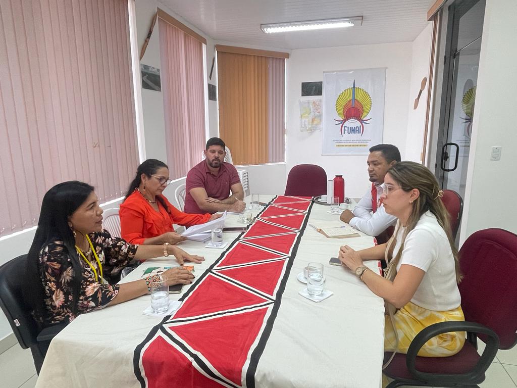 2 - Fotos de Queimadas em Roraima (16).jpeg