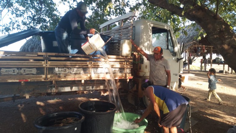 Fotos de Queimadas em Roraima (10).jpeg