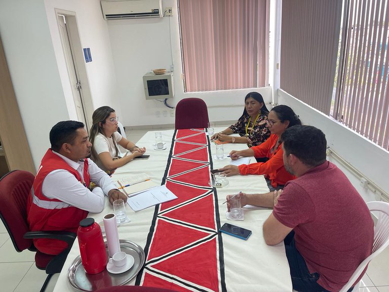 Fotos de Queimadas em Roraima (15).jpeg