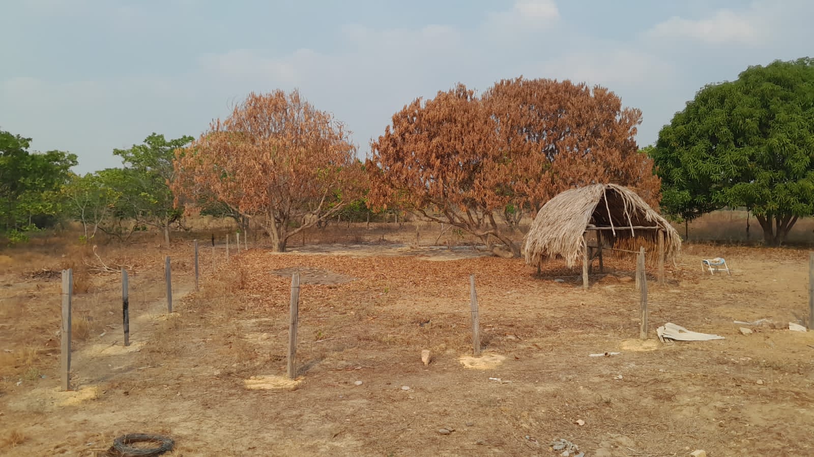 Fotos de Queimadas em Roraima (4).jpeg