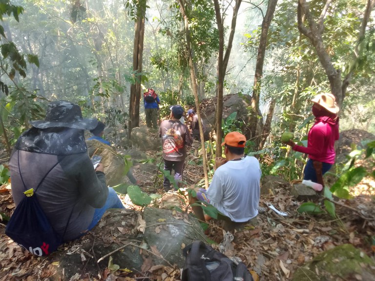 Fotos de Queimadas em Roraima (9).jpeg