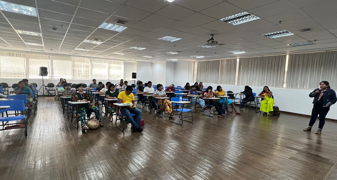 Foto Divulgação Funai (6).jpeg