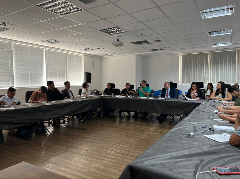 Marina Ferreira (1).jpeg