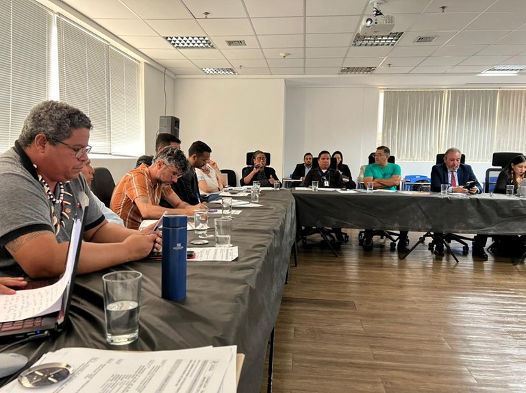 Marina Ferreira (3).jpeg