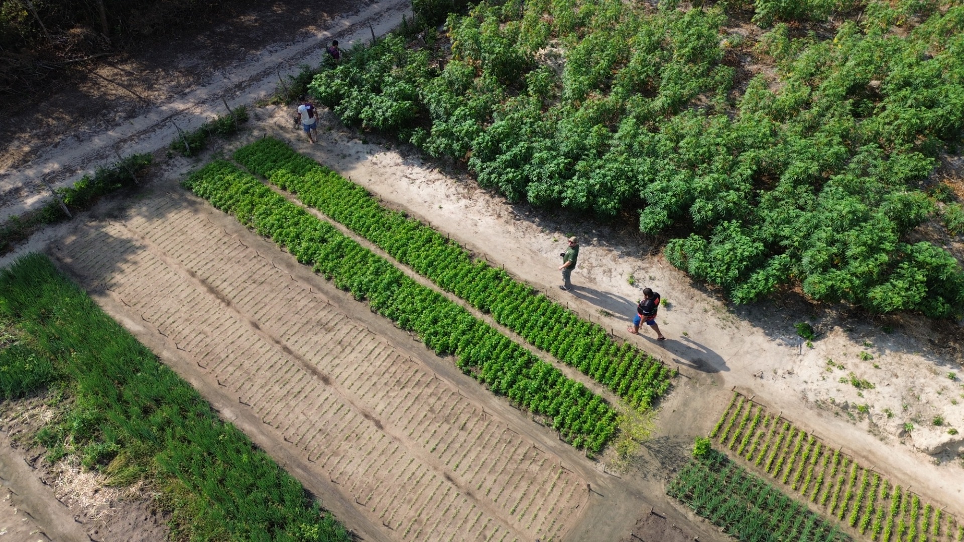 DJI_0390.JPG