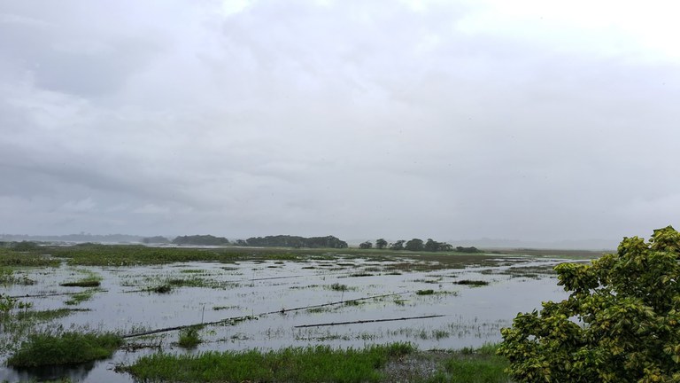 Intercâmbio de Agentes Ambientais na TI Uaçá - Oiapoque_AP - Foto Renan Apurinã (2).jpeg