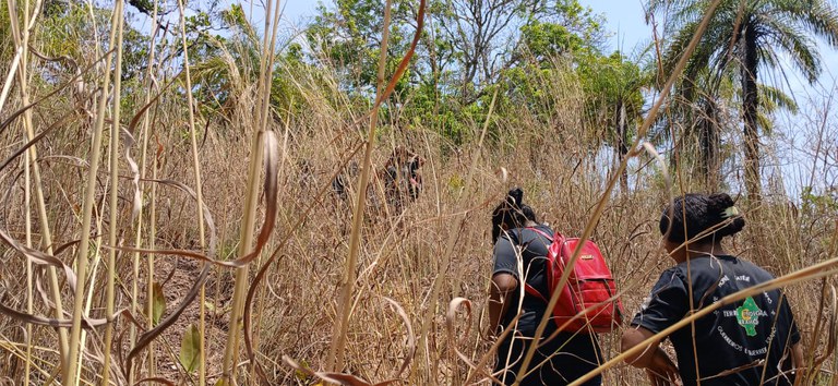 Foto Ruth Ihprep Krahô (2).jpeg