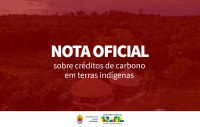 Posicionamento da Funai sobre créditos de carbono em terras indígenas