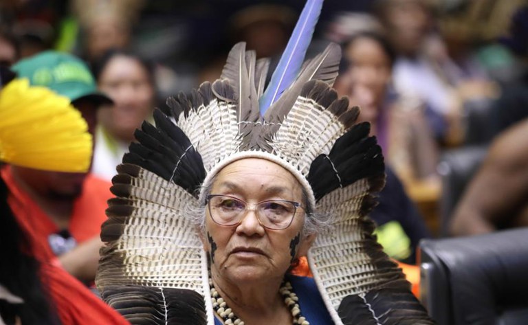 Sessão Solene 20 Anos do ATL - Foto Zeca Ribeiro - Câmara dos Deputados (10).jpg