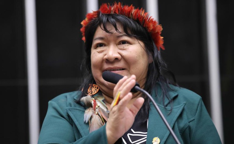 Sessão Solene 20 Anos do ATL - Foto Zeca Ribeiro - Câmara dos Deputados (2).jpg