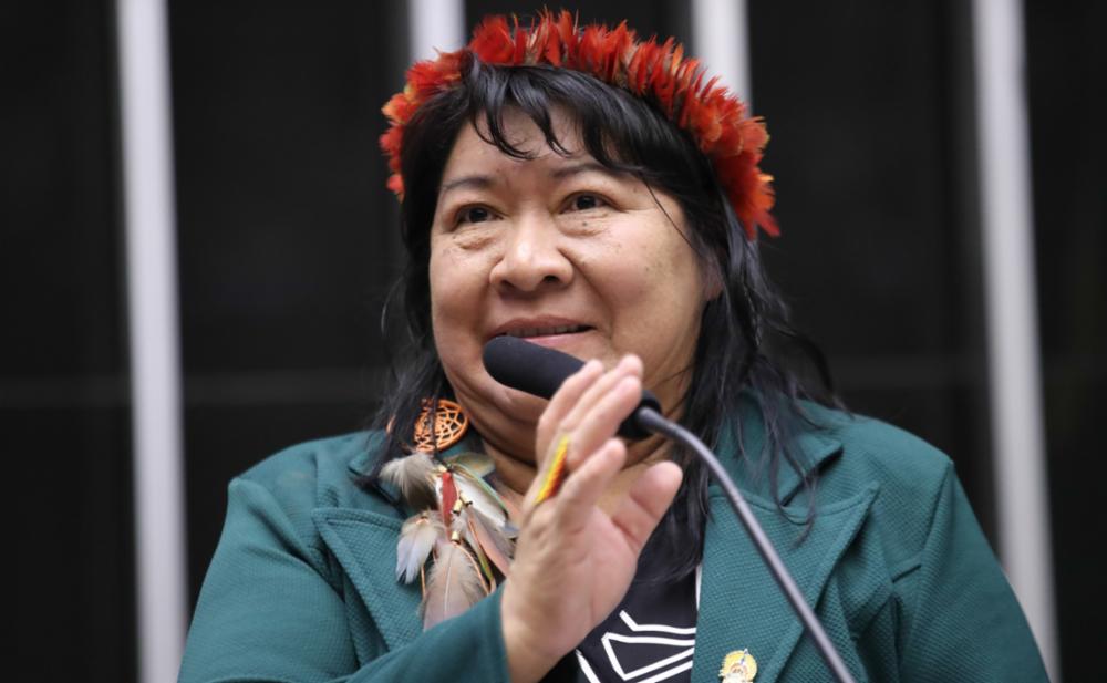 Sessão Solene 20 Anos do ATL - Foto Zeca Ribeiro - Câmara dos Deputados (2).jpg